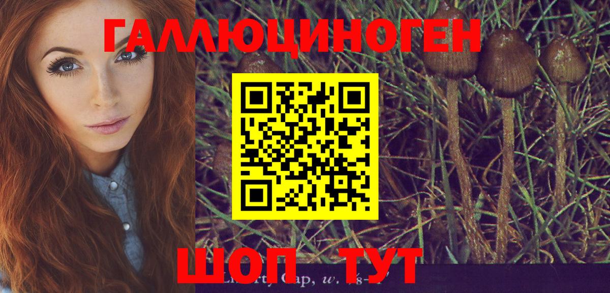 Саяногорск  Галлюциногенные грибы мицелий  Вход с VPN 